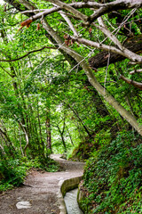 Algund, Waalweg, Algunder Waalweg, Waal, Wasserrinne, Wanderweg, Waldweg, Kastanienwald, Frühlingsferien, Frühling, Vinschgau, Meran, Südtirol, Italien