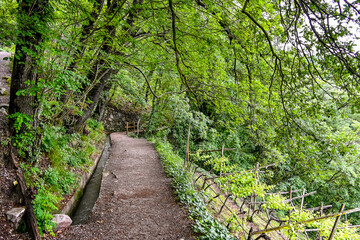 Algund, Waalweg, Algunder Waalweg, Wanderweg, Waldweg, Kastanienwald, Weinberge, Frühlingsferien, Frühling, Vinschgau, Meran, Südtirol, Italien