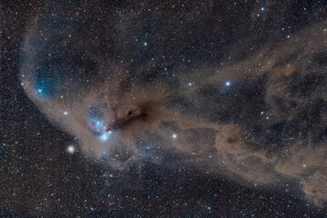 Reflection and emission nebula of the Corona Australis Molecular Cloud deep sky photo
