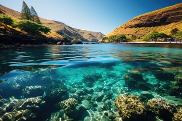 Colorful coral reefs in Hanauma Bay, Hawaii., generative IA