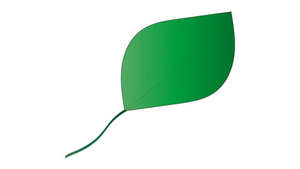 A nice, green leaf.