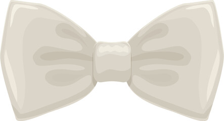 Elegant light grey bow tie for a groom on his wedding day