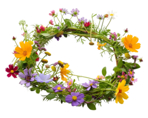 Beautiful floral crown, wreath with colorful flowers on transparent background