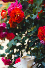 Coffee cuo in the garden with roses
