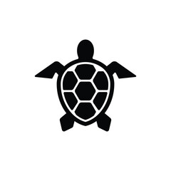 Turtle icon vector design trendy