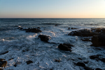 seascape with the flying seagull after sunrise