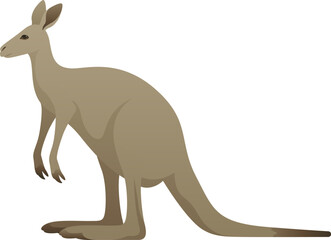 Color vector illustration of Australian kangaroo. Wild marsupial isolated on white background. Australia and New Guinea.