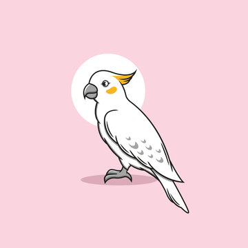 recommend clip art: Cockatoo parrot clipart. Flat vector illustration.