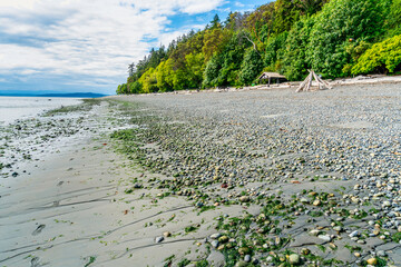 Lincoln Park Rocky Beach