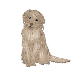 Cute cartoon animal characters, bright colors