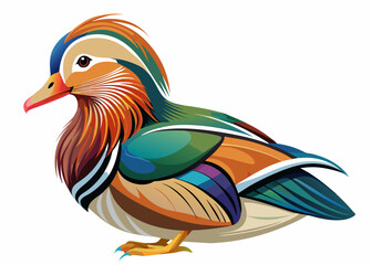  Mandarin Duck vector illustration
