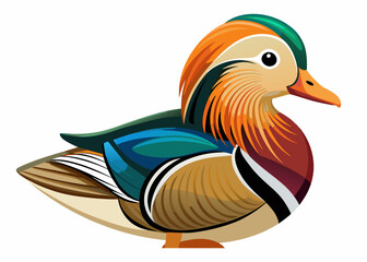  Mandarin Duck vector illustration

