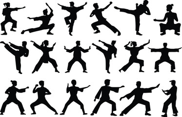 Kung Fu Martial Arts Silhouette Isolated Vector Illustration Collection