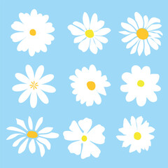 Set of daisy flowers on blue background, Hand-drawn daisies flowers pattern.botanical elements, Ink drawings of wildflowers,vector illustration natural background.eps 10.
