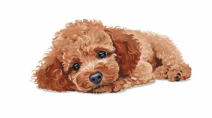 A cute curly-haired puppy lies down, resting its head on the ground and gazing with large, expressive eyes, exuding warmth and comfort.