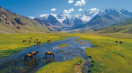 Overhead view of Shandur Pass during the annual polo festival