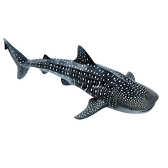 A detailed, close-up image of a whale shark, a gentle giant with distinctive white spots.