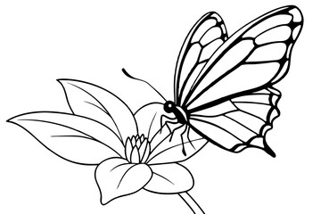 butterfly flies on a flower outline vector illustration