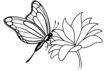 butterfly flies on a flower outline vector illustration