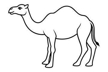 camel outline art vector illustration