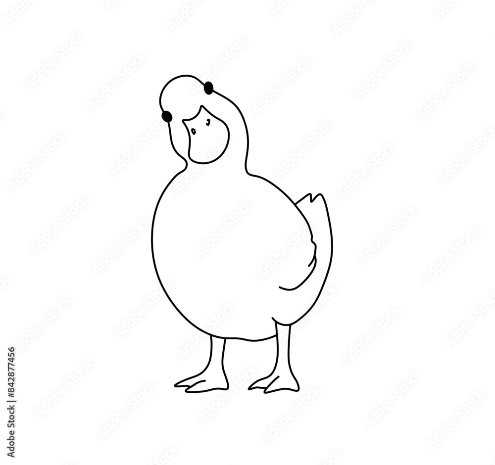 Canvas Prints vector isolated duck duck goose colorless black and white contour line easy drawing