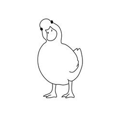 Vector isolated  duck duck goose  colorless black and white contour line easy drawing 