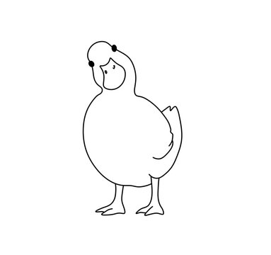 Vector isolated  duck duck goose  colorless black and white contour line easy drawing 