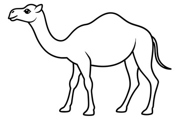 Fototapeta premium camel outline vector illustration
