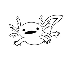 Vector isolated  cute swimming Axolotl salamander amphibious  colorless black and white contour line easy drawing 