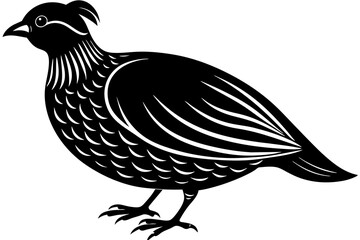quail silhouette vector illustration