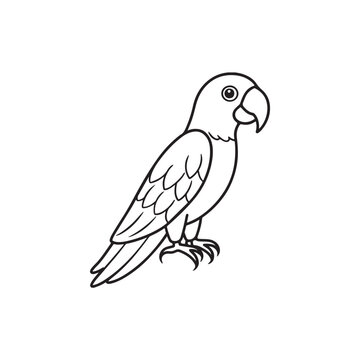 recommend clip art: Vectir parrots line art and illustration, hand drawing,
                    