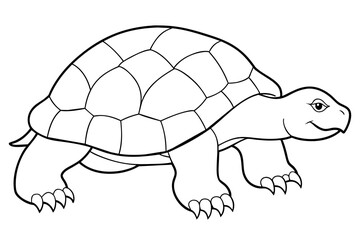 tortoise outline art vector illustration