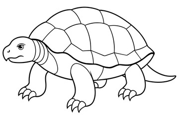 Brazilian tortoise outline icon vector illustration