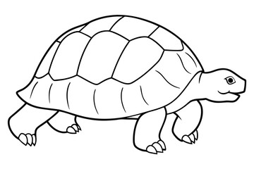 Brazilian tortoise outline icon vector illustration