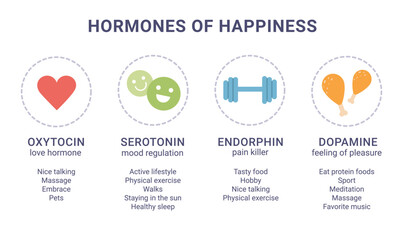 Scheme of happiness hormones icons of oxytocin, serotonin, dopamine, endorphin isolated on white background. Brain biochemistry
