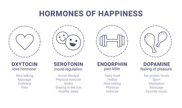 Scheme of happiness hormones icons of oxytocin, serotonin, dopamine, endorphin isolated on white background. Brain biochemistry