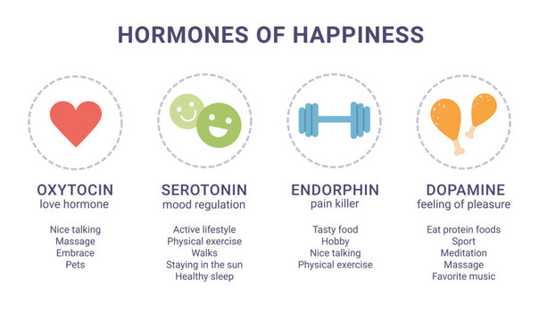 Scheme of happiness hormones icons of oxytocin, serotonin, dopamine, endorphin isolated on white background. Brain biochemistry