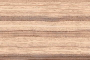 old shiny rift cut larch wood varnished  texture background