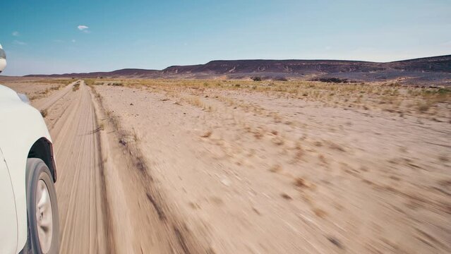 Driving shot in the Sahara Desert, spotting a camel dromedary. Sand dunes and some vegetation as a 4x4 vehicle drives through a beautiful sand path on a sunny desert day. 