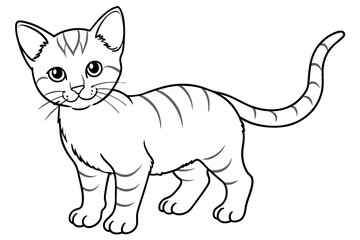 kitten adult outline art vector illustration