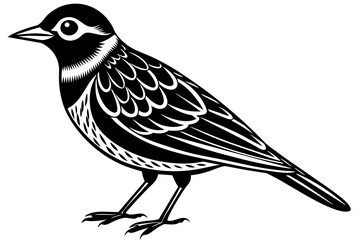 lark bird line art vector illustration