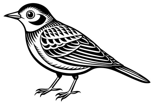 recommend clip art: lark bird line art vector illustration