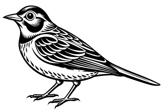 recommend clip art: lark bird line art vector illustration