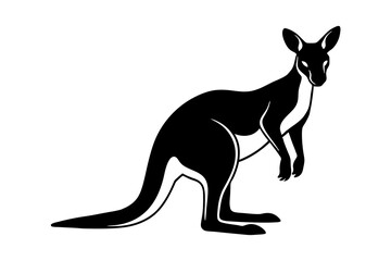 kangaroo silhouette vector illustration