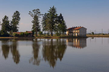 Fototapeta premium Cascina Cattedrale abbandonata tra le risaie a Borgolavezzaro in Piemonte
