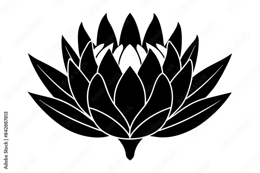 Wall mural king protea flower silhouette vector illustration