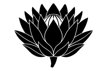 king protea flower silhouette vector illustration