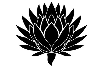 king protea flower silhouette vector illustration