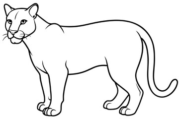 puma vector outline illustration