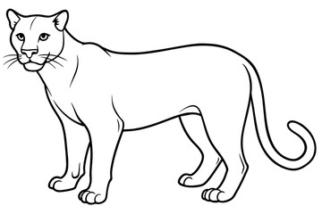 puma vector outline illustration